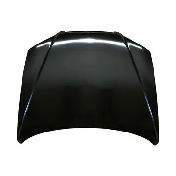 Hyundai Getz Motor Kaputu (2003-2005) Orijinal Mobis