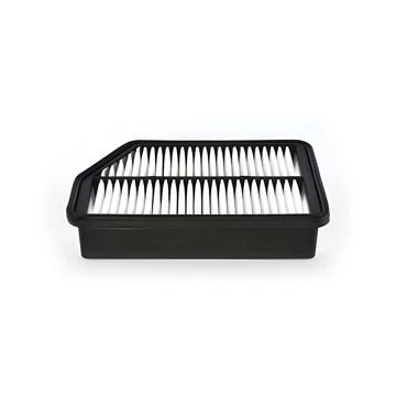 Hyundai IX35 Hava Filtresi (2010-2015) Filtron Marka